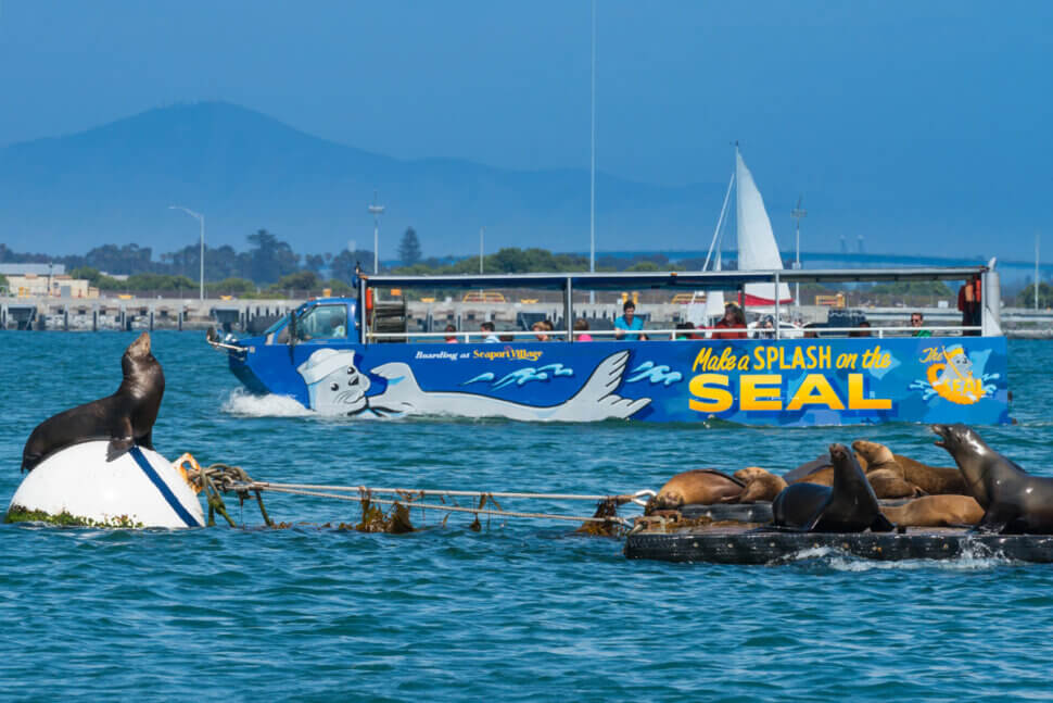 Guests aboard San Diego SEAL Tour viewing sea lions