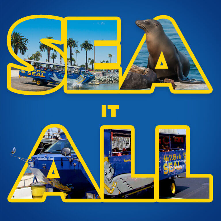 SEAL Tour and SEA IT ALL