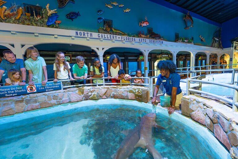 Key West Aquarium feeding exhibit