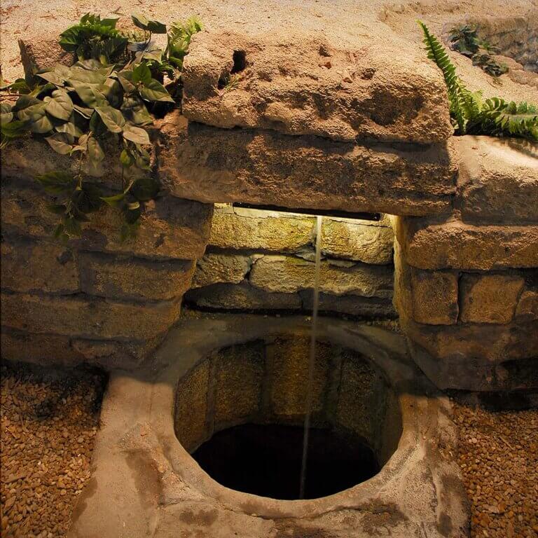 Fountain of Youth spring