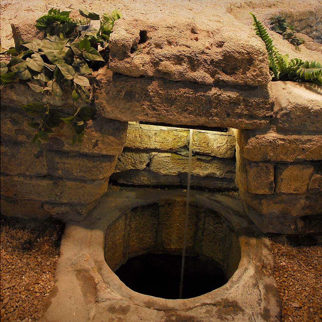 Fountain of Youth spring