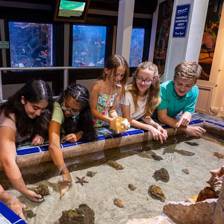 The Key West Aquarium features a variety of marine species, with guests exploring the fascinating underwater world