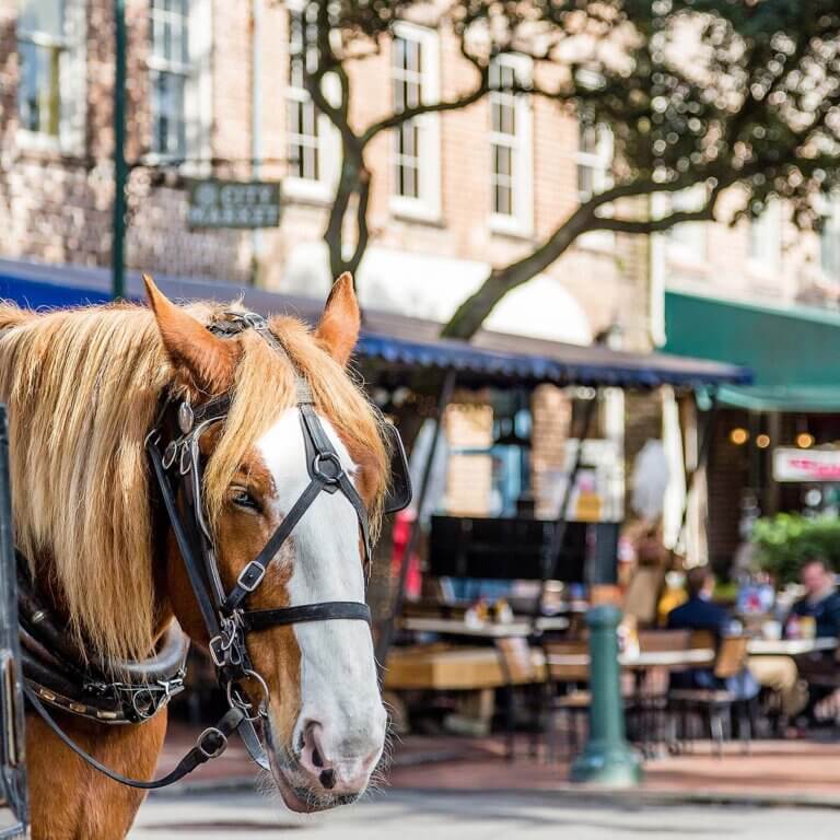 Savannah's City Market bustling with activity