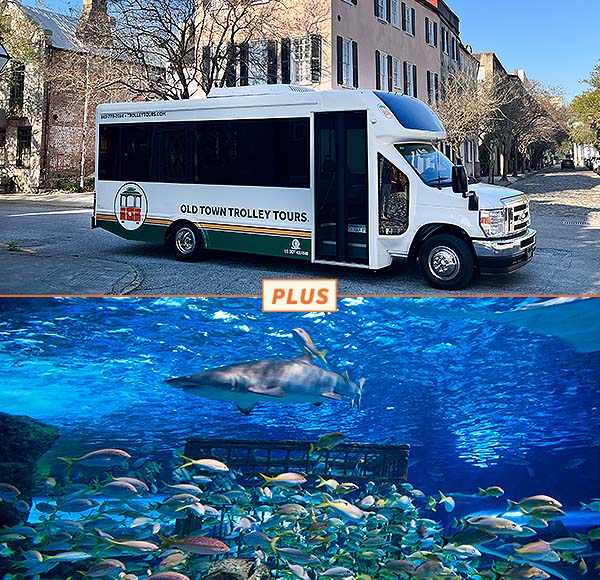 Charleston City Tour and South Carolina Aquarium